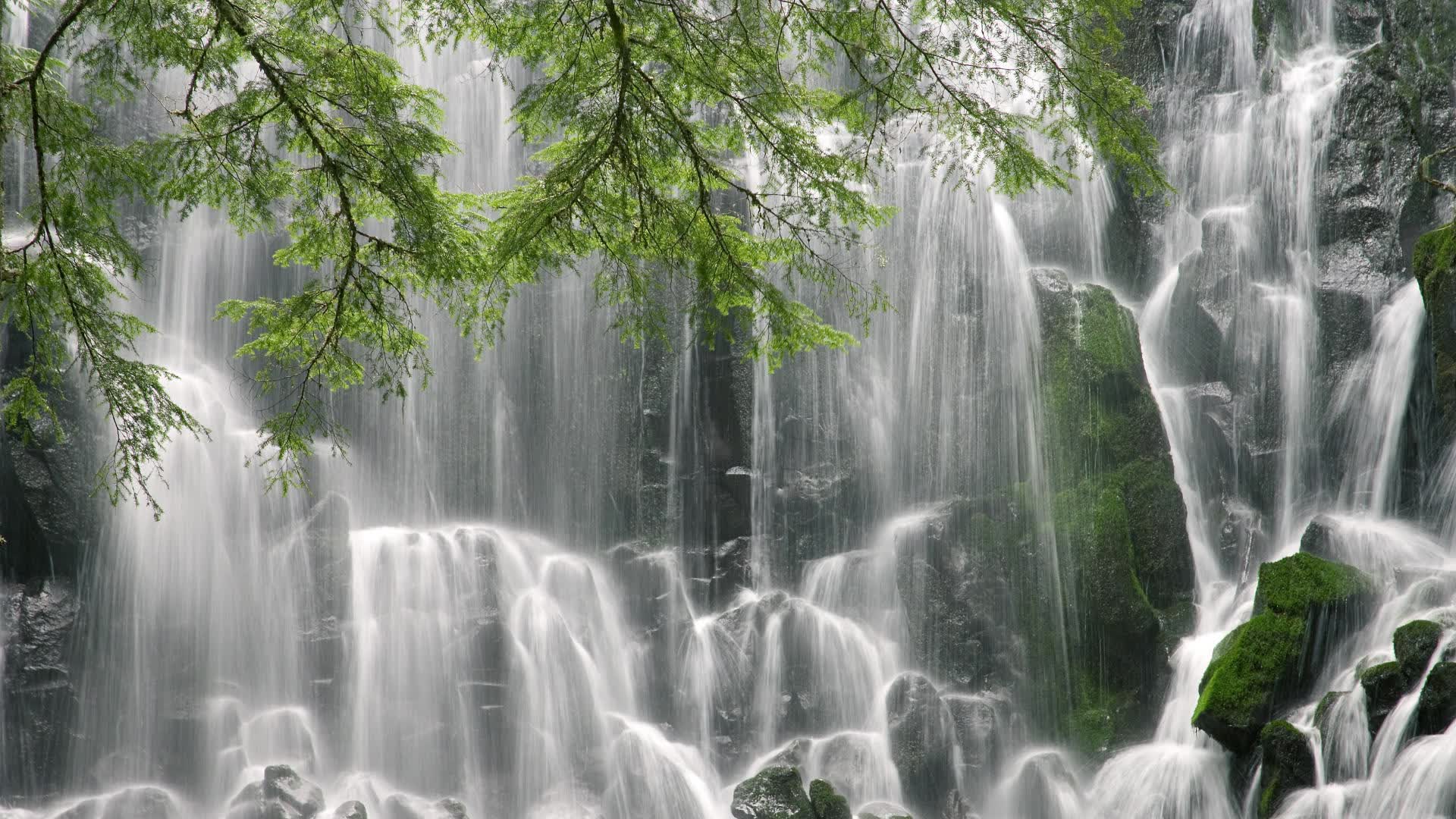 世界斯诺克巡回赛：明年世锦赛门票今日正式开启全球预售。，世界斯诺克锦标赛2021在哪